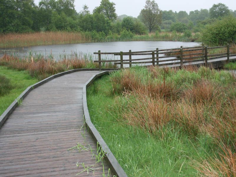 Naturschutzstiftung Cuxhaven Projekte Projektgebiete Beerster Wischen 03