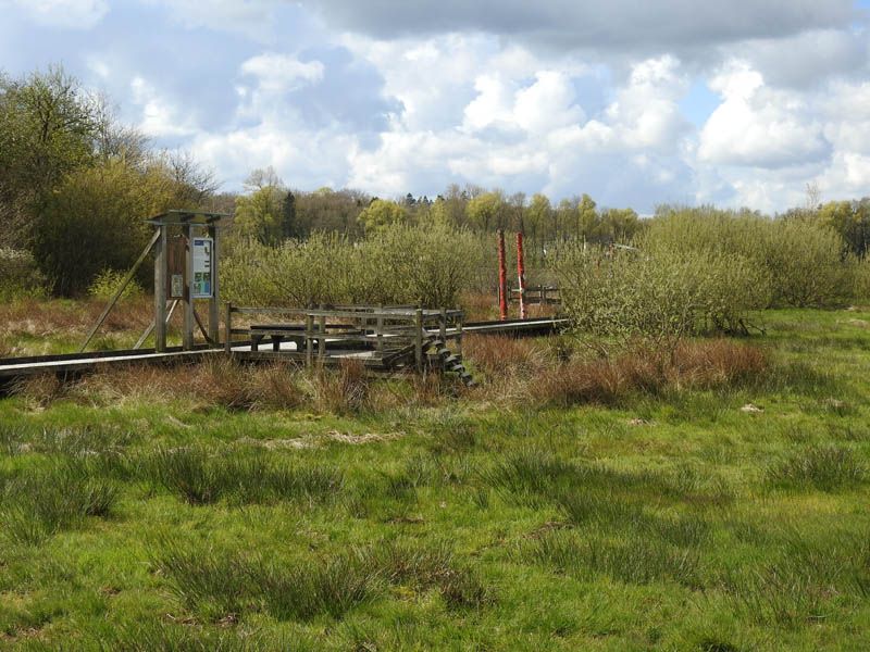 Naturschutzstiftung Cuxhaven Projekte Projektgebiete Beerster Wischen 07