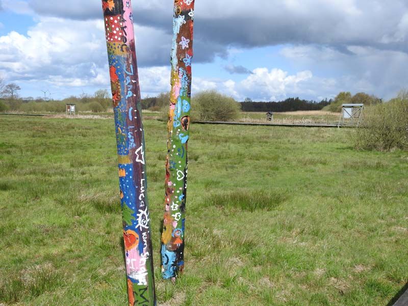 Naturschutzstiftung Cuxhaven Projekte Projektgebiete Beerster Wischen 08