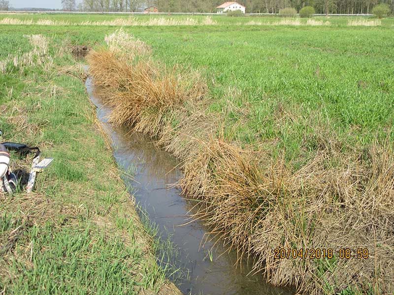 Naturschutzstiftung Cuxhaven Projekte Projektgebiete Stade Medem01