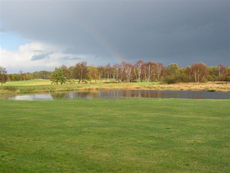 Naturschutzstiftung Cuxhaven Projekte Projektgebiete Stinstedter See 02