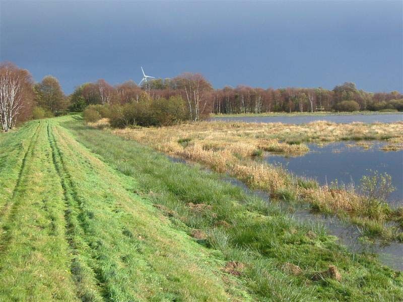 Naturschutzstiftung Cuxhaven Projekte Projektgebiete Stinstedter See 03