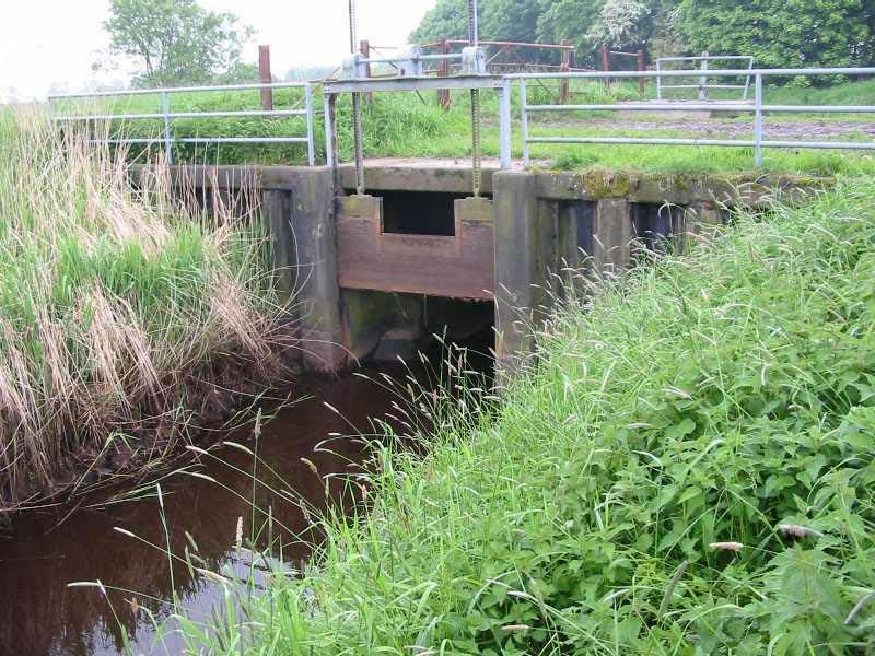 Naturschutzstiftung Cuxhaven Projekte Projektgebiete Stinstedter See 05