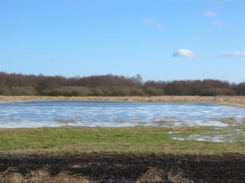 Naturschutzstiftung Cuxhaven Projekte Projektgebiete Stinstedter See 06