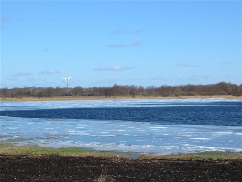 Naturschutzstiftung Cuxhaven Projekte Projektgebiete Stinstedter See 12