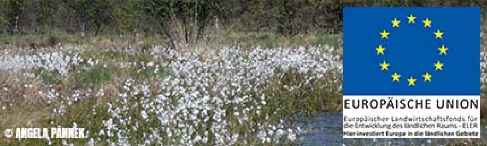 Vereinfachte Flurbereinigung Langenmoor