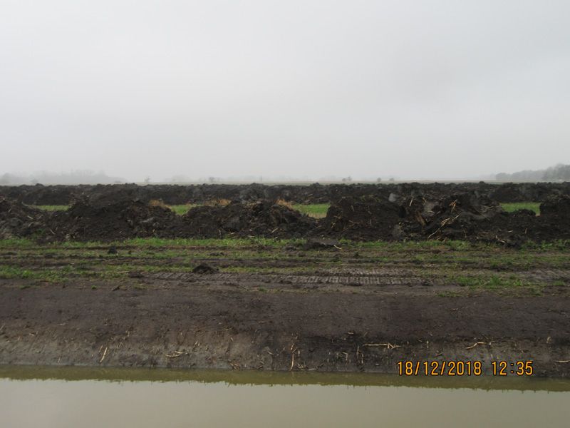 Naturschutzstiftung Cuxhaven Projekte Steinau Medemstade 2018 Baumassnahmen 01