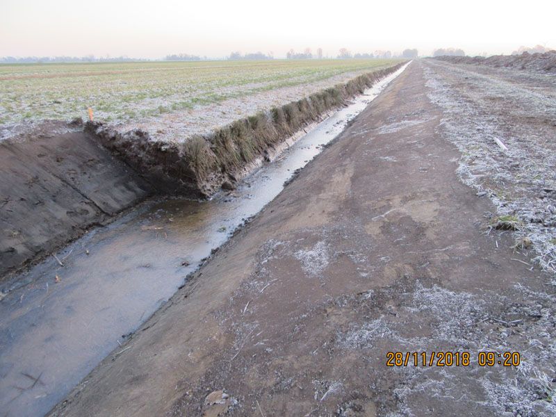 Naturschutzstiftung Cuxhaven Projekte Steinau Medemstade 2018 Baumassnahmen 02