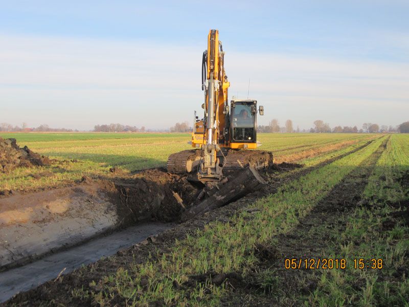 Naturschutzstiftung Cuxhaven Projekte Steinau Medemstade 2018 Baumassnahmen 07