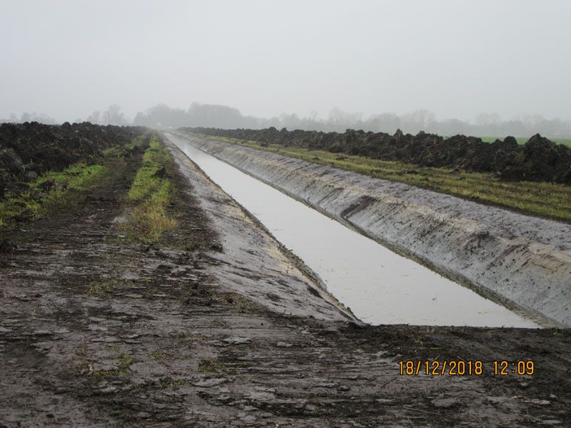 Naturschutzstiftung Cuxhaven Projekte Steinau Medemstade 2018 Baumassnahmen 08