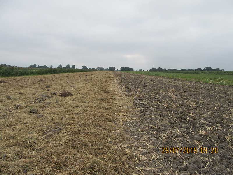 Naturschutzstiftung Cuxhaven Projekte Steinau Medemstade 2019 Gruenland Entstehen02