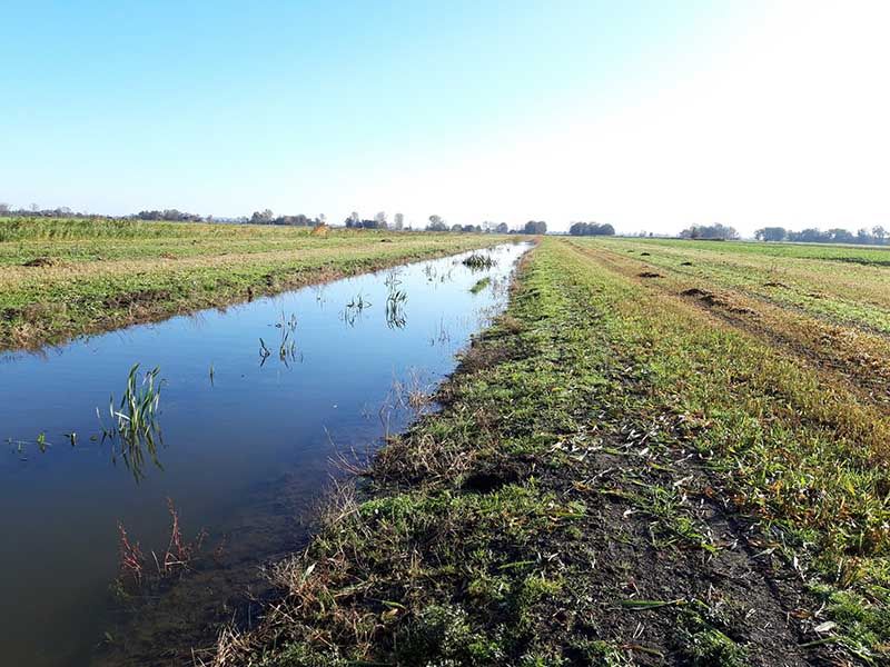 Naturschutzstiftung Cuxhaven Projekte Steinau Medemstade 2019 Impressionen04