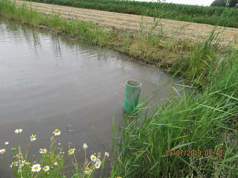 Naturschutzstiftung Cuxhaven Projekte Steinau Medemstade 2019 Impressionen06