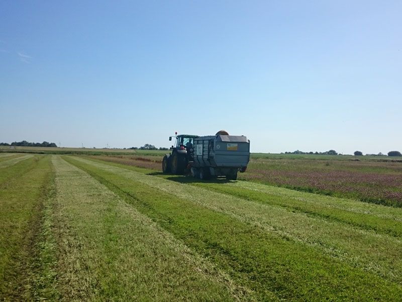 Naturschutzstiftung Cuxhaven Projekte Steinau Medemstade 2019 Mahdgutuebertragung 01