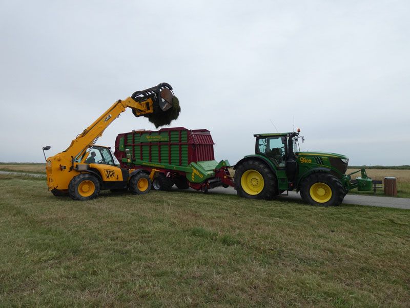 Naturschutzstiftung Cuxhaven Projekte Steinau Medemstade 2019 Mahdgutuebertragung 04