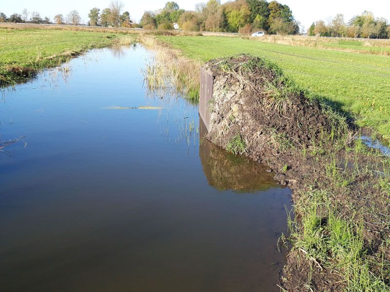 Naturschutzstiftung Cuxhaven Projekte Steinau Medemstade 2020 Ergebnisse 01