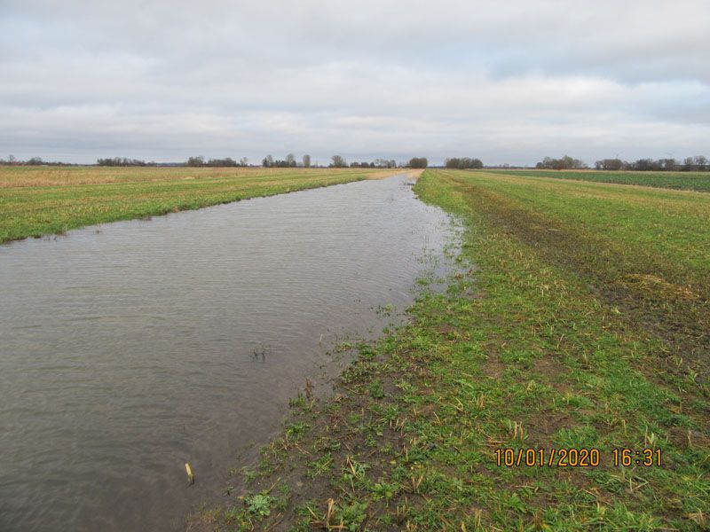 Naturschutzstiftung Cuxhaven Projekte Steinau Medemstade 2020 Ergebnisse 06