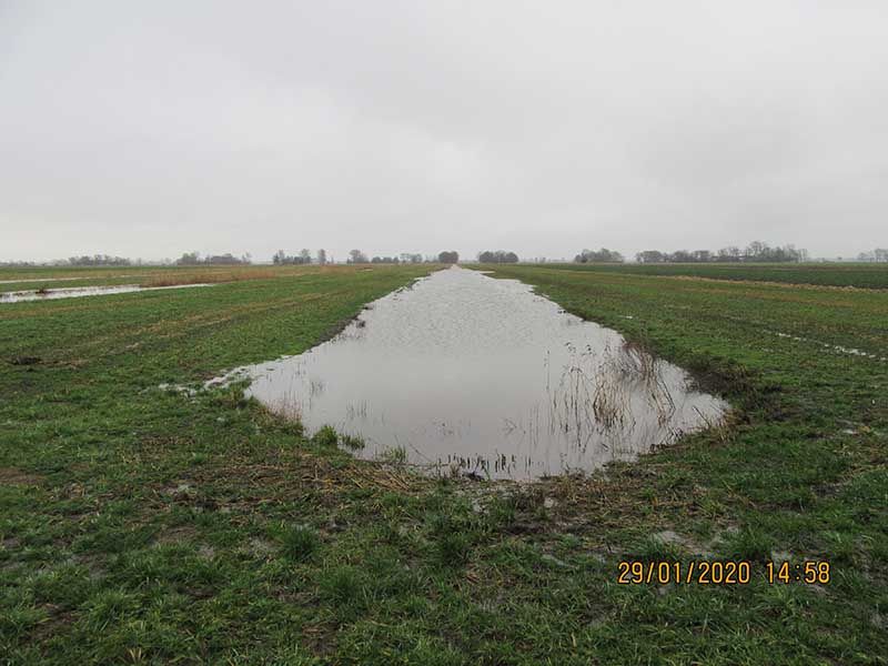 Naturschutzstiftung Cuxhaven Projekte Steinau Medemstade 2020 Ergebnisse 08