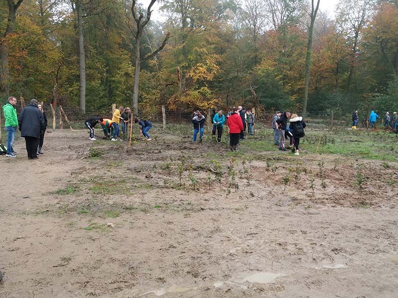 Naturschutzstiftung Cuxhaven Projektgebiete Karolinenhoehe02