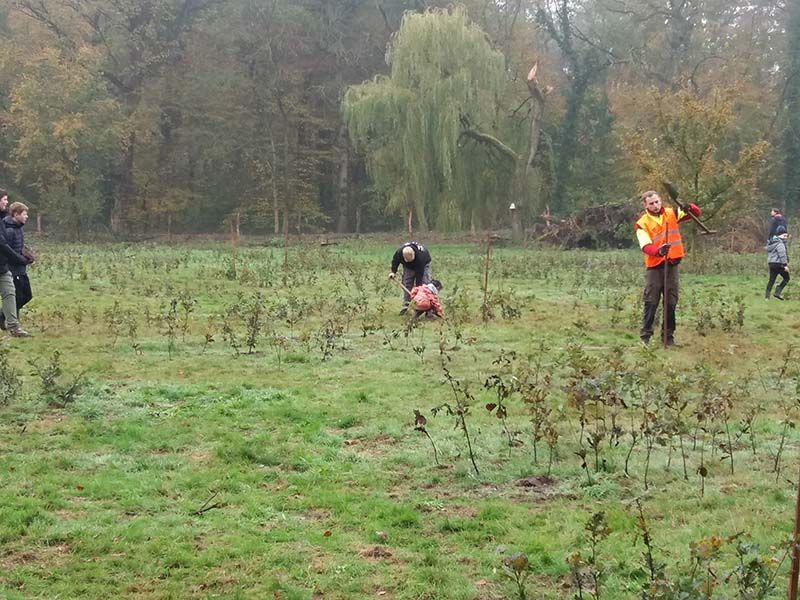 Naturschutzstiftung Cuxhaven Projektgebiete Karolinenhoehe04