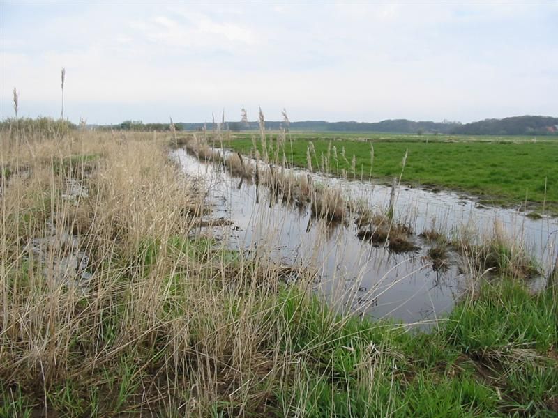 Holsseler Bach 2004 Monitoring